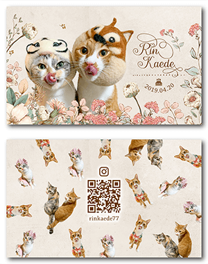 チンチラ（多頭飼い）のペット名刺