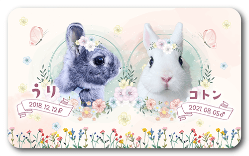 長方形ペット名刺の表面画像