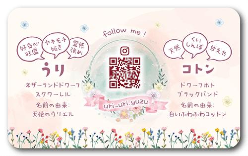 長方形ペット名刺の裏面画像