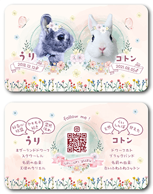 犬のペット名刺