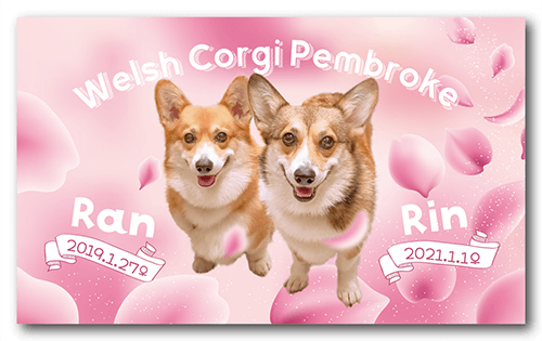 長方形ペット名刺の表面画像