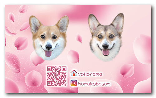 長方形ペット名刺の裏面画像