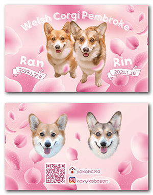 チンチラのペット名刺