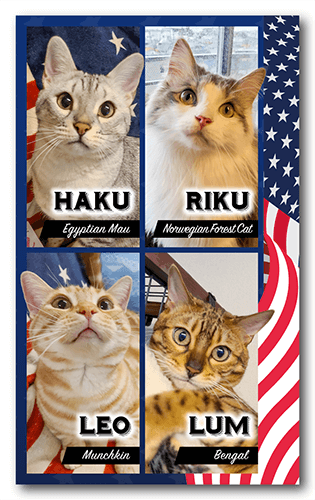 長方形ペット名刺の表面画像