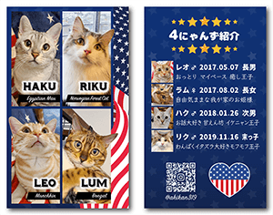 猫のペット名刺
