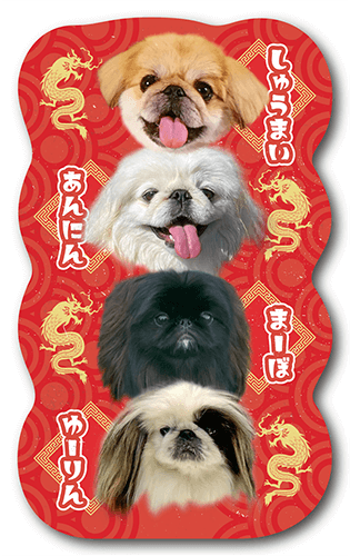 ペット名刺の表面画像