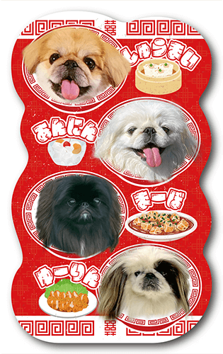 ペット名刺の表面画像