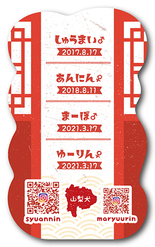 ペット名刺の裏面画像