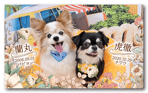 長方形ペット名刺の表面画像