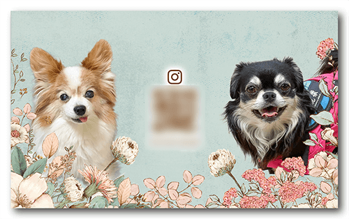 長方形ペット名刺の裏面画像