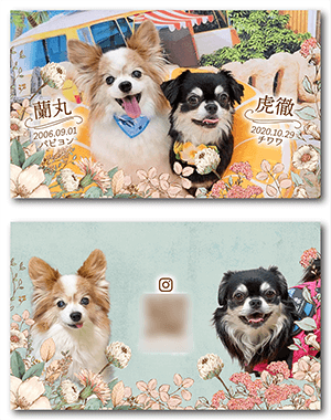 犬のペット名刺