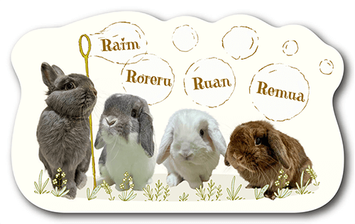 型抜きペット名刺の表面画像