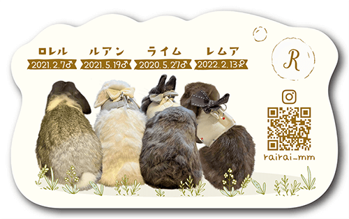 型抜きペット名刺の裏面画像