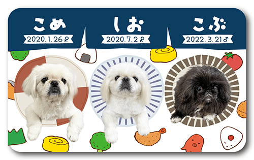 長方形ペット名刺の表面画像