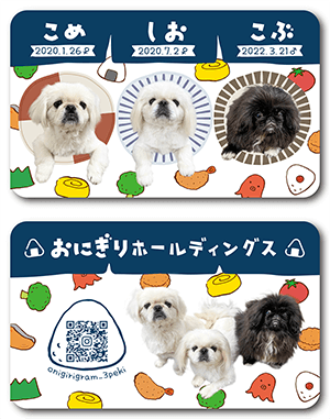 チンチラのペット名刺