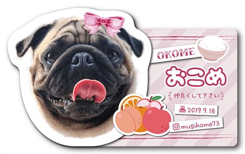 型抜きペット名刺画像