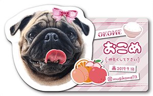 犬のペット名刺