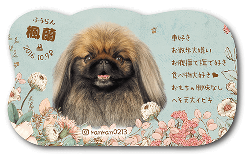 型抜きペット名刺の表面画像