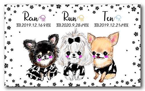 長方形ペット名刺の表面画像