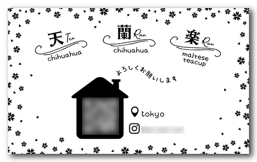 長方形ペット名刺の裏面画像