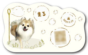 犬の型抜きペット名刺