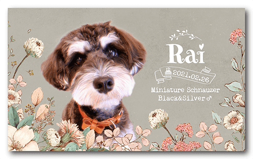 長方形ペット名刺の表面画像