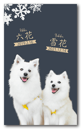 ペット名刺の表面画像