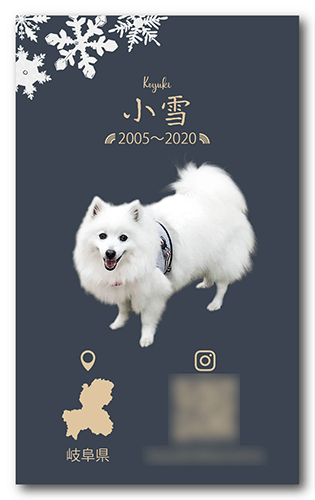 ペット名刺の裏面画像