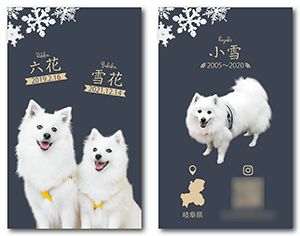 犬のペット名刺