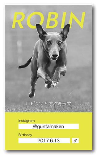 長方形ペット名刺画像