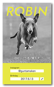 犬のペット名刺