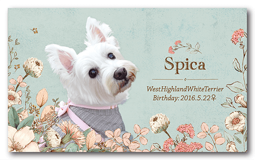 長方形ペット名刺の表面画像