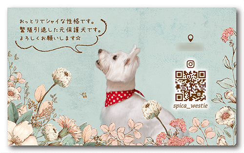 長方形ペット名刺の裏面画像