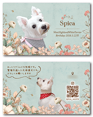 犬のペット名刺