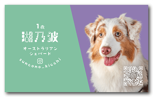 長方形ペット名刺の表面画像
