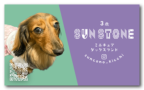 長方形ペット名刺の裏面画像