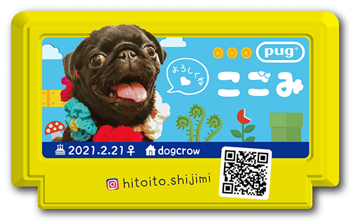 型抜きペット名刺の表面画像