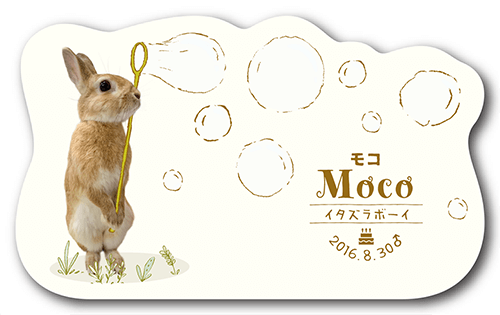 型抜きペット名刺の表面画像