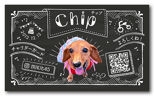 チンチラの長方形ペット名刺画像