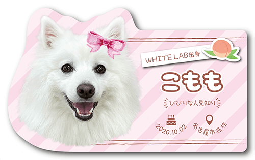 型抜きペット名刺の表面画像