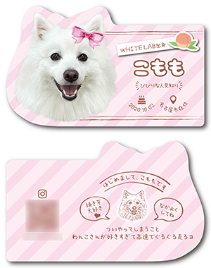 犬のペット名刺