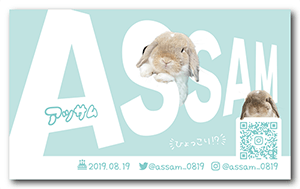 犬のペット名刺