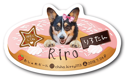 型抜きペット名刺の表面画像