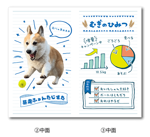 2つ折り型抜きペット名刺の中面画像