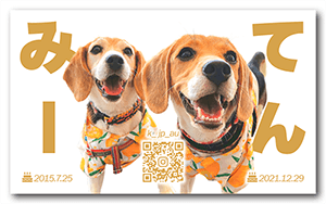 犬のペット名刺