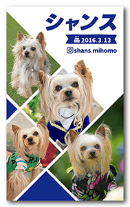 犬のペット名刺