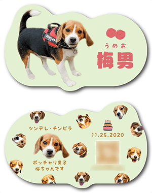 犬のペット名刺