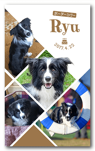 ペット名刺の表面画像