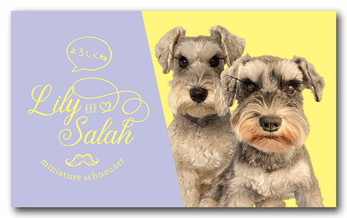 ペット名刺の表面画像