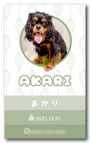 ペット名刺の表面画像